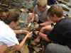 Survival Training